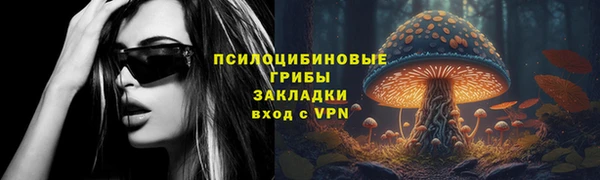 тгк Нязепетровск