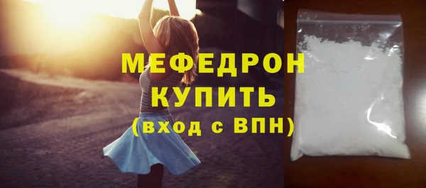 гашик Няндома