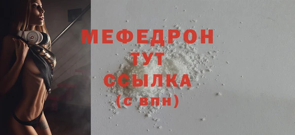 гашик Няндома