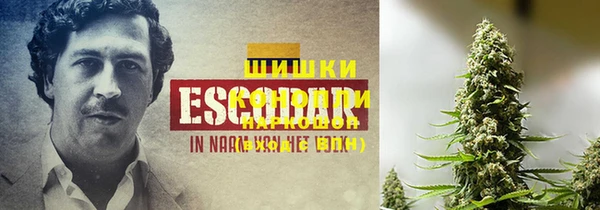 кокс Козельск